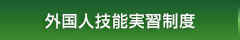 外国人技能実習制度